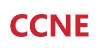 CCNE Check Valves