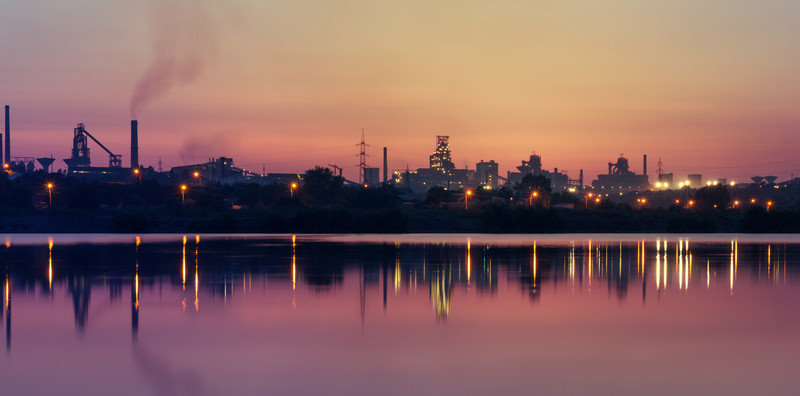 Water Plant